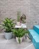 Cotton Plastic Flower Pot , Magnolia Jumper