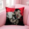 Singer C-Chester Benningtons Cushion Cover Comfortable Reversible Pillow Cover Ideal For Car Sofa Bedroom & Beyond