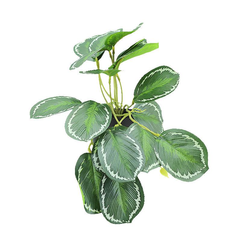 

Goeppertia Makoyana Faux Hanging Plant With Soft Rubber Feel For Home Green Wall Design