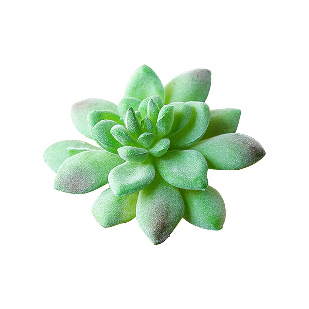 Köttig Simulerad Suckulent Trädgård Hemväxt Blomma Huvud