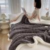 Winter Blanket Thickened Warm Lamb Wool Leisure Blanket Home Warm Thick Soft Bed Cover Knee for Office Sofa Microfiber Bedding