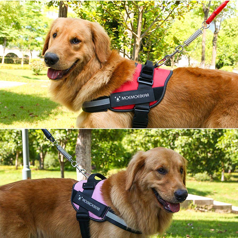 no pull rope dog harness