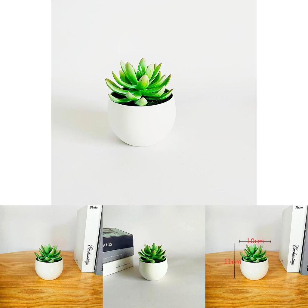Plastic Succulent Flower Pot With Realistic Design For Home Decor And Desktop Display