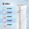 Electric dental rinse portable dental flosser water flosser