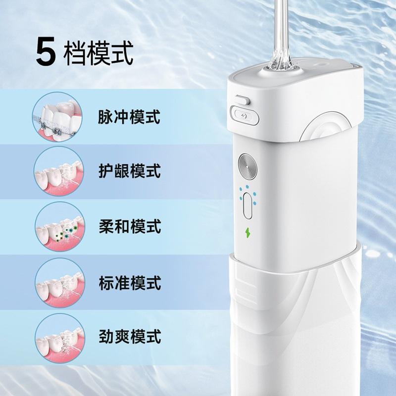 Electric dental rinse portable dental flosser water flosser