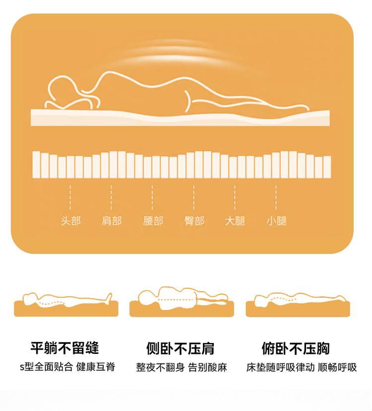 Sleeping Treasure Coconut Brown Mattress Soft Cushion
