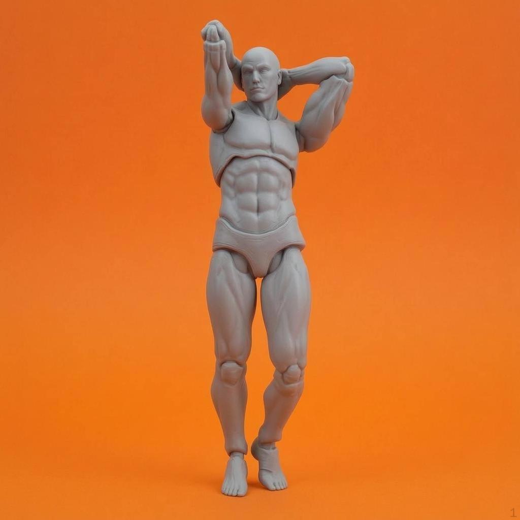 Figure Drawing Model Movable Joints Poseable Body Art Supply for Artists