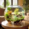 Extra-Large Thickened Round Glass Fish Tank - Transparent Eco-Friendly Desktop Aquarium for Living Room