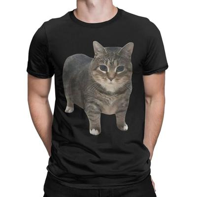 OIIA OIIA Spinnendes Katzen-Meme T-Shirt Y2k Lustige Katzenaufdruck Kurzarm Lustiger Brainrot-Aufdruck Oberteile Mode Rundhals-T-Shirts