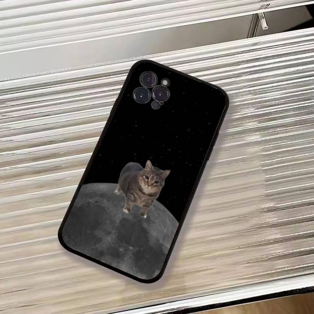 F-Lustige Tierkatze Handyhülle Silikon Weich Für IPhone 17 16 15 14 13 12 11 X XR Plus Pro Max Plus
