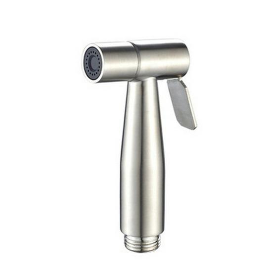 Stainless Steel Bidet Sprayer Set - Toilet Companion & Booster Shower Head