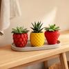 3D Printed Fruit Flower Pot Plastic Flower Container Versatile Planter Holder  Placement Easy