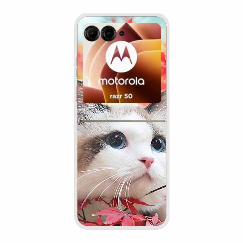 For Motorola Razr 50 Ultra Case Plastic Hard Painted Cartoon Transparent Back Cover Case for Motorola Razr 50 5G Hard PC Case 50