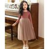 Girls Long Sleeve Princess Dress Kids Mesh Party Winter Basic