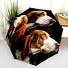 Black Puppy pattern, automatic folding umbrella, portable and foldable design, 8 ribs, a Christmas or birthday gift.