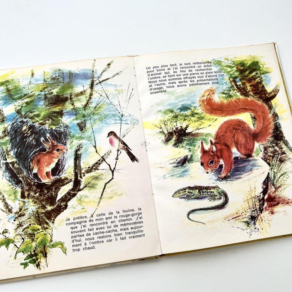 [USED] Maurice Boulanger's Children's Book, Vintage