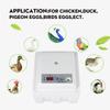 Dijital Kuluçka Kutusu Yumurta Kuluçka Makinesi Otomatik Yılan Kertenkele Sürüngenler İçin Uygun Sürüngen Yumurta Kutusu Sürüngen Üretim Kutusu AC220V 30W
