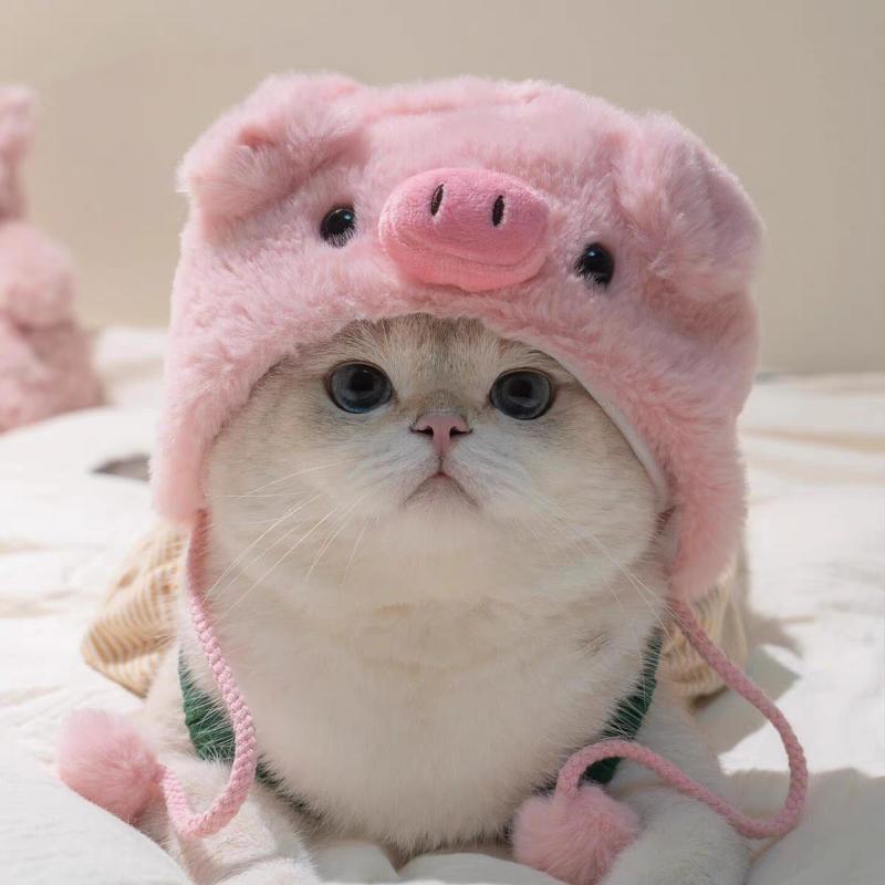 Pet Hat Cute Plush Animal Headwear Various Adorable Soft Photo Prop Cosplay Headgear For Small Cats Puppy Pet Party Decoration