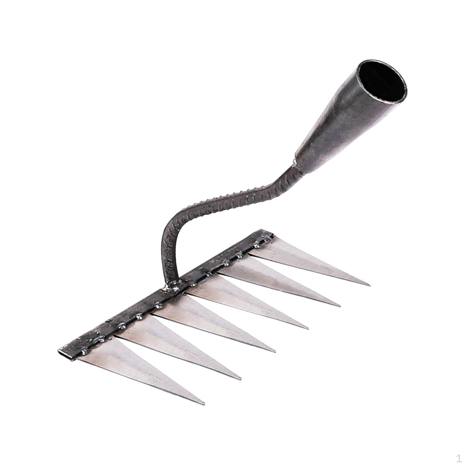 

Садова граблі з вуглецевої сталі для ефективної роботи на подвір ї with 6 Tines
