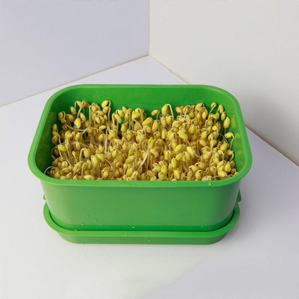 Green Sprout Dish Growing Pot Plastic Beans Seeding Pot New Plants Germination Tray