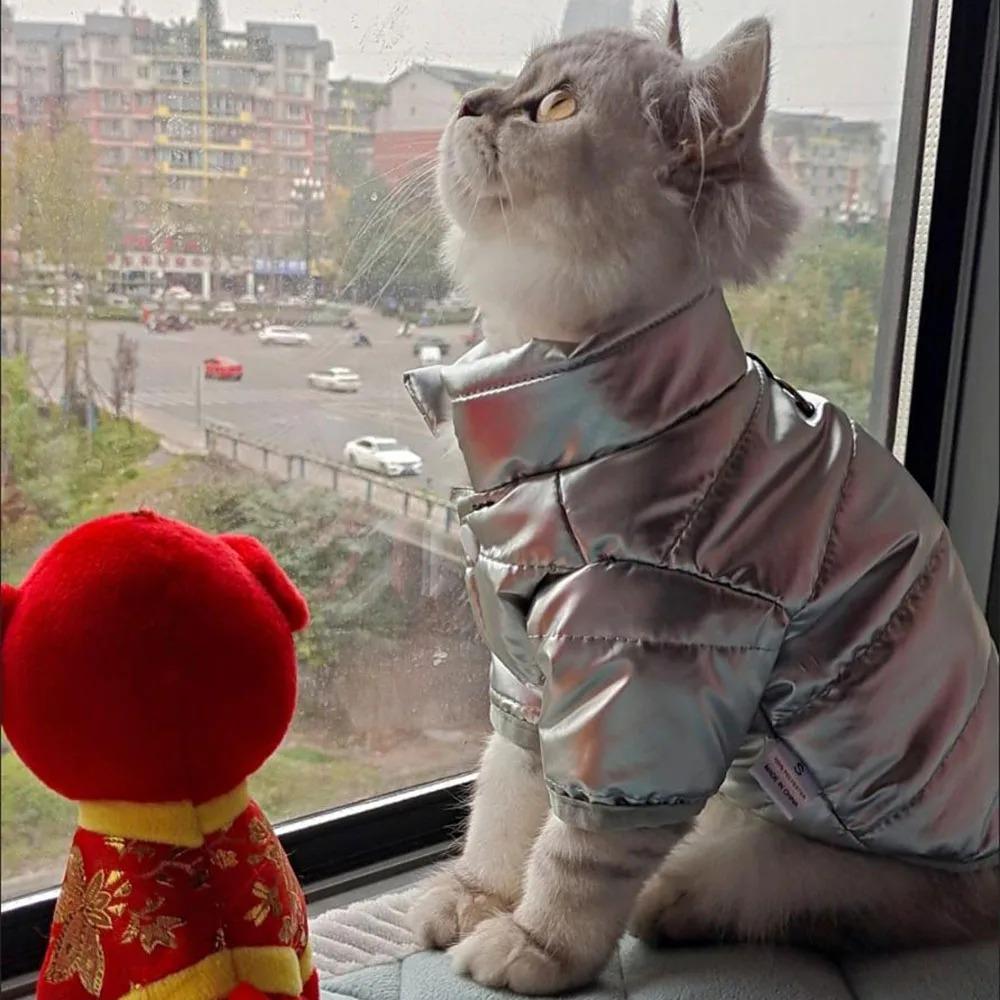 Thicken Winter Dog Clothes Bright Color Pet Coat Outfits Casual Puppy Jacket Clothing  Pet Supplies