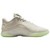 Nike LeBron 22 Dunkman Men Sneakers Grey Light-Bone Soft-Pearl FZ1094-002