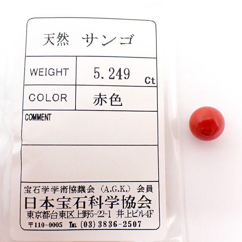 [Used] Natural Coral Loose Stone/j27-8