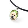 Norwich Terrier – Jewelry with your photo box, set of necklace and earrings | Art-Dog