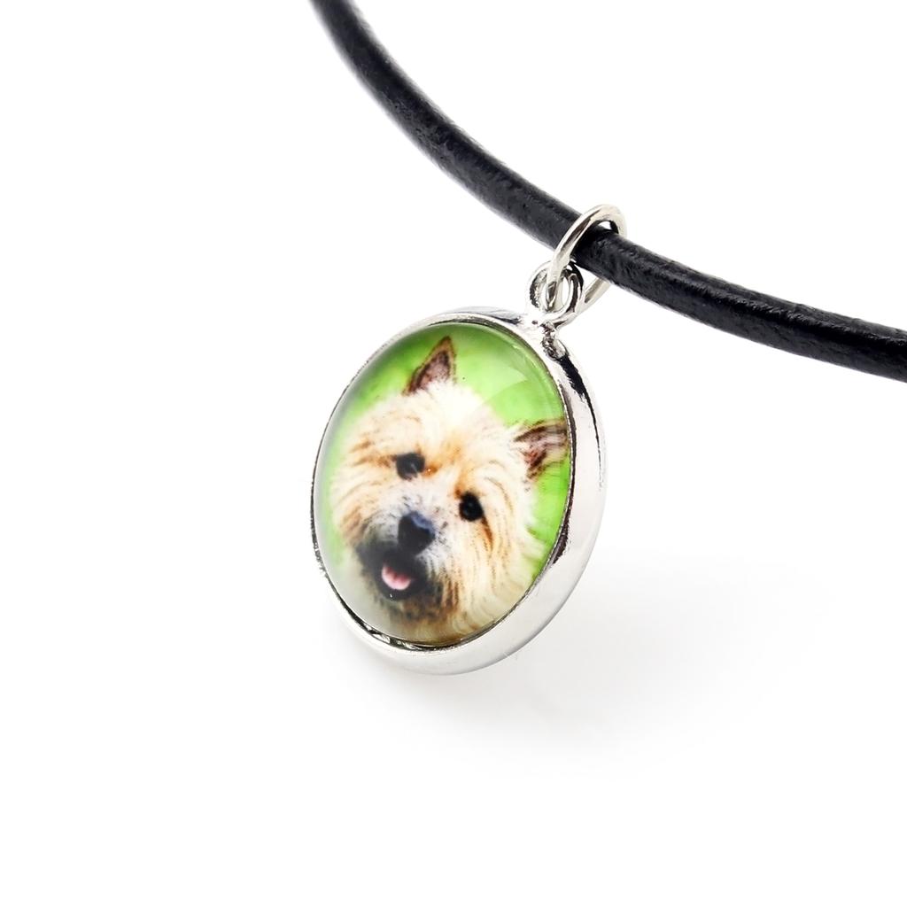 Norwich Terrier – Jewelry with your photo box, set of necklace and earrings | Art-Dog