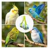 Portable Bird Carrier Parrot Sling Tote Travel for Cockatiel Conure Hiking Outdoor Walks Pet Moving Day Trips Grooming Transport