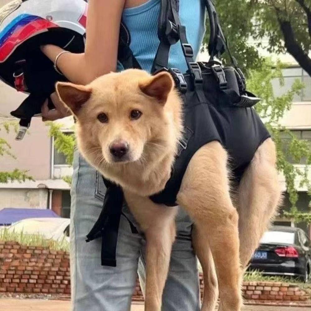 Wear-Resistant Dog Backpack Horizontal Puppy Travel Bag Dogs Transport Backpack  Pet Supplies