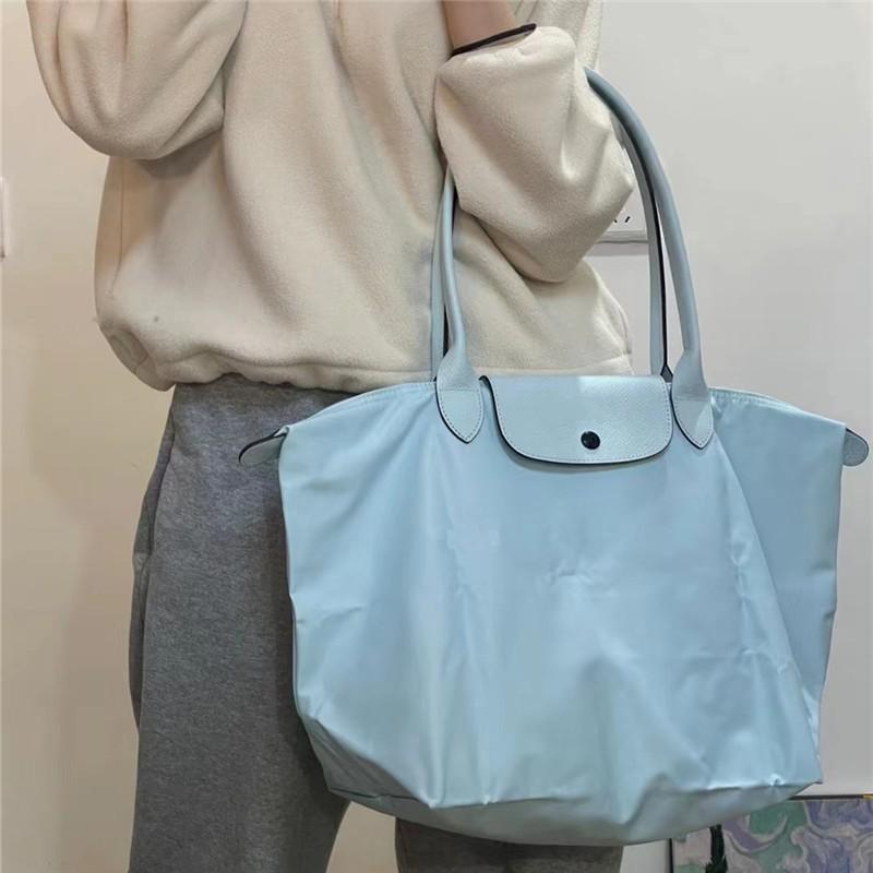 Unique Style Dumpling Large Nylon Shoulder Bag For Women With Ecofriendly Features In Hues Classic