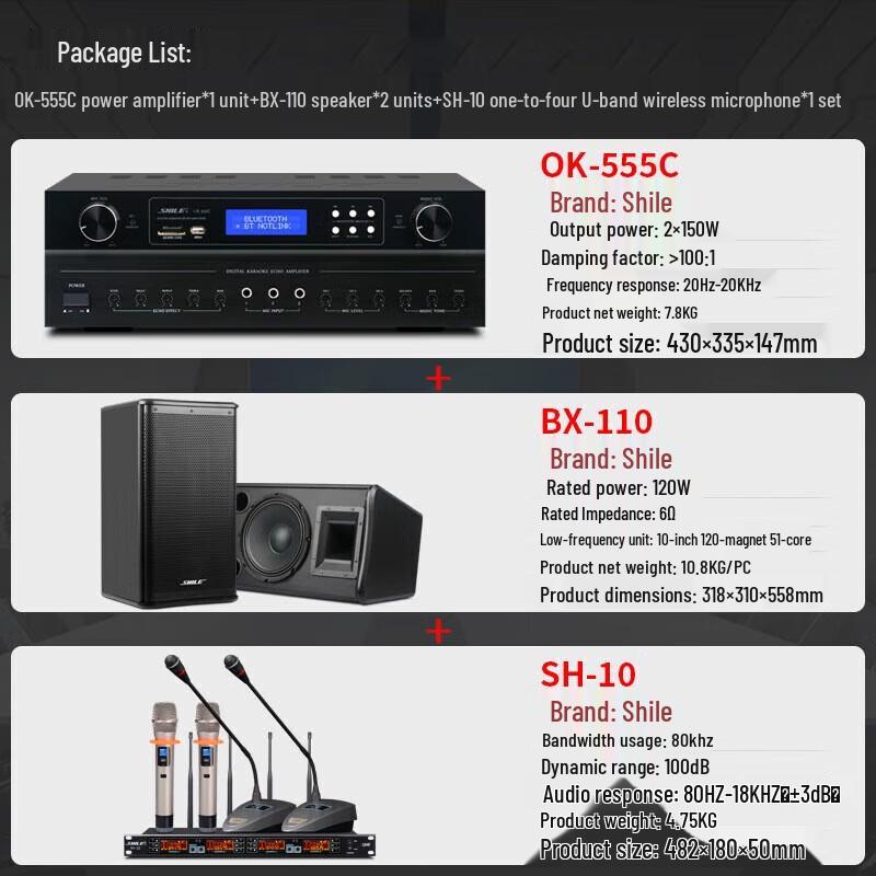 SHILE Professional 10-inch Integrated Audio System CN plug (adapter included)