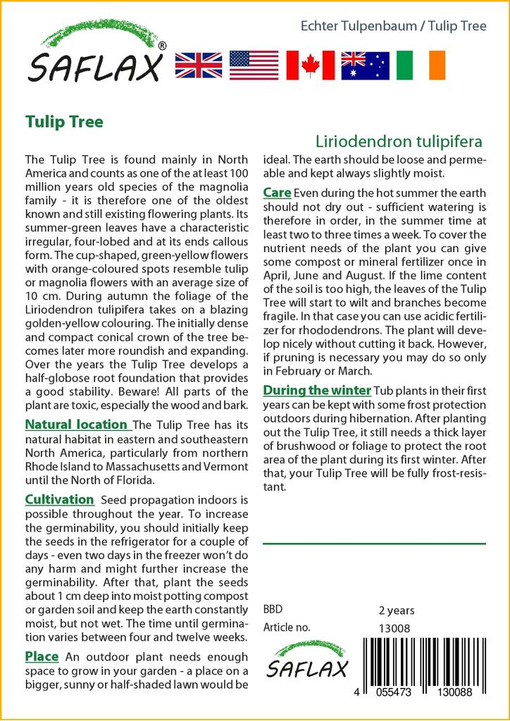 SAFLAX Tulip Tree - 20 Seeds - Liriodendron Tulipifera
