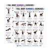 Esercizi per la parte superiore e inferiore del corpo, 2 Pezzi, Tabella di Allenamento con Manubri, Poster con Esercizi Completi per la Parete, Guida Fitness per l'Allenamento della Forza per Palestra Domestica
