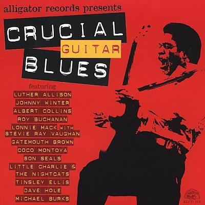 

CD VARIOUS - Crucial Guitar Blues ALCD114 Alligator Recor 2003 US Blues Used