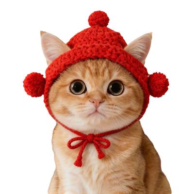 New Funny Cat Hat Refined Elastic Handmade Puppy Kittens Knitted Hat Photo Shoot Props Pet Hat Autumn Winter