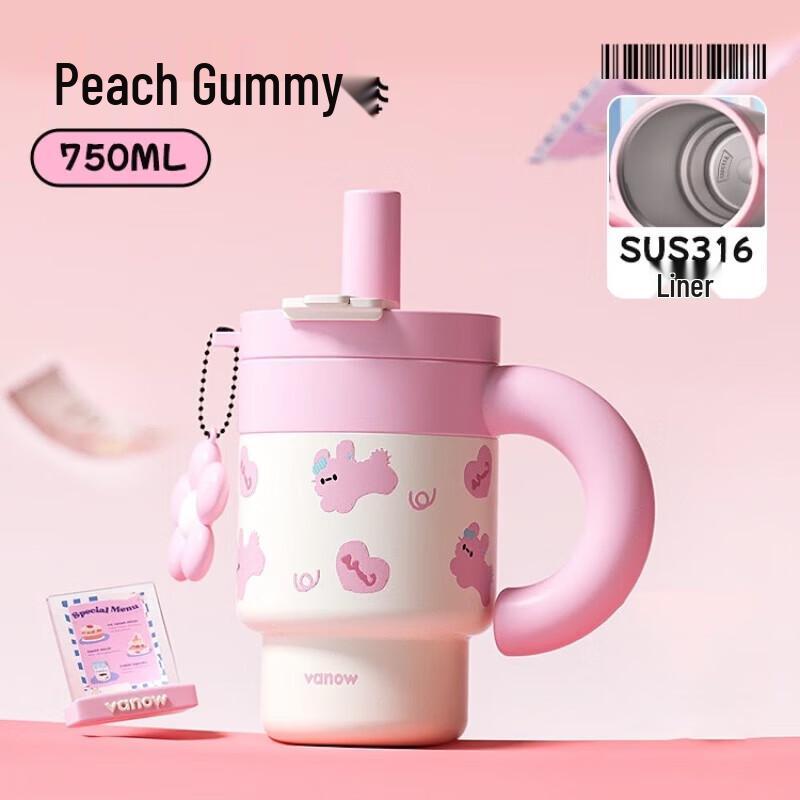 Vanow Qiaoqiao 750ml Stainless Steel Insulated Tumbler with Straw