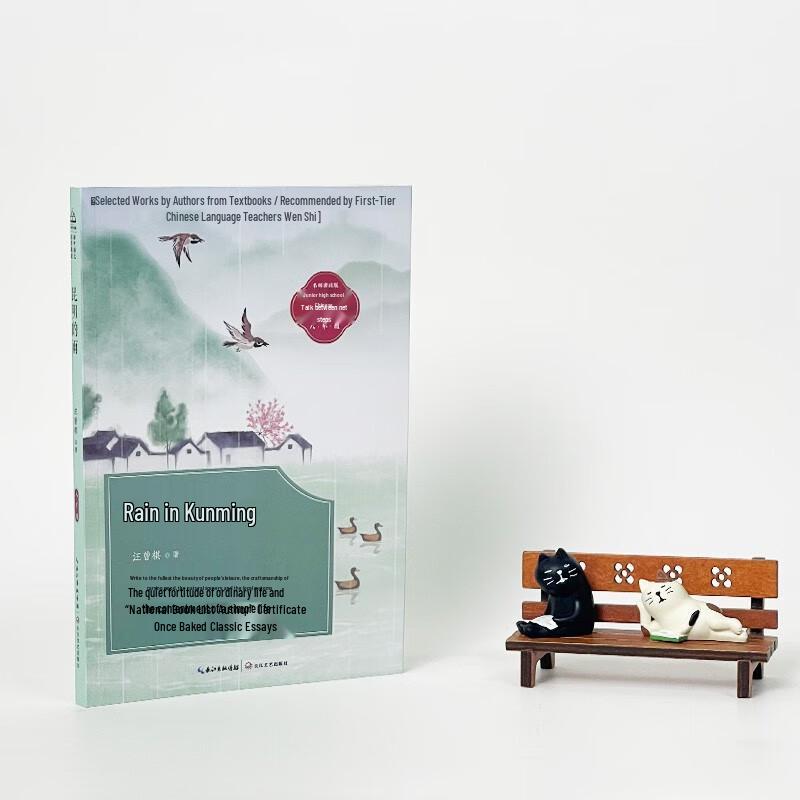 Kunming's Rain: Junior High Chinese Reading