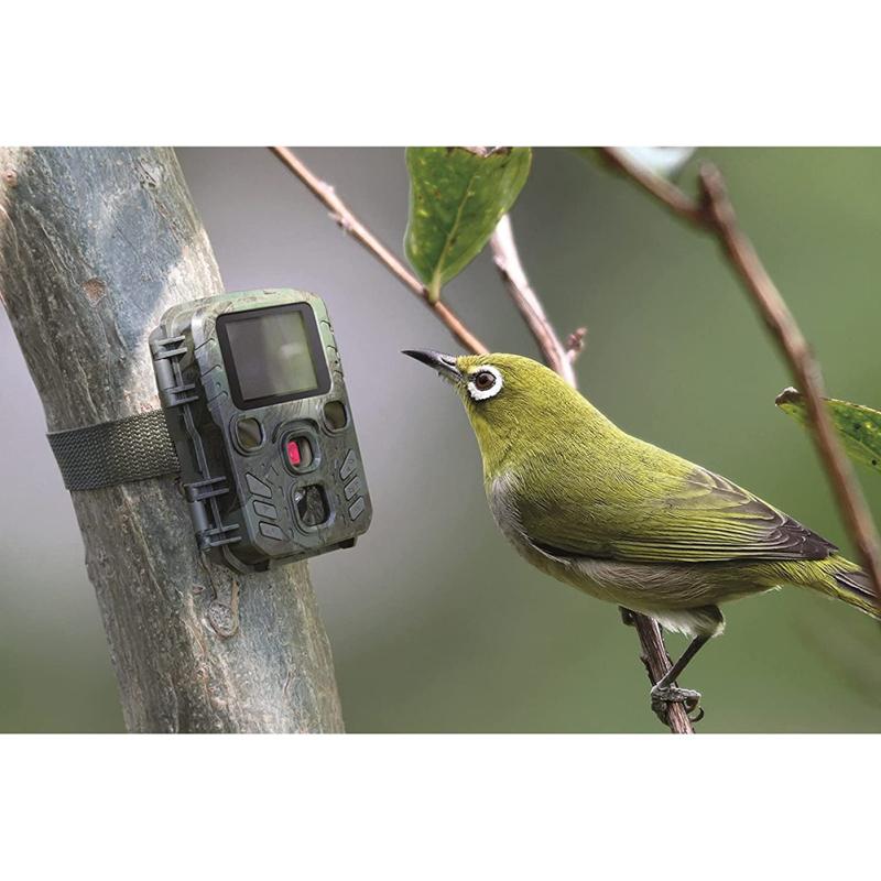 Suntek Mini 301 Tracking-Kamera-Steckkarte, 24 MP/1296p, praktische Wildkamera, Infrarot-Nacht