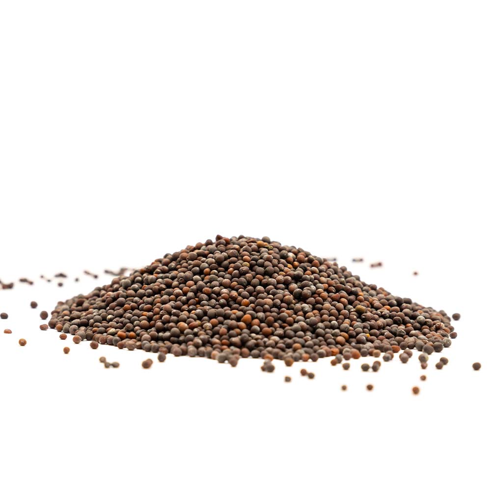 Gorczyca czarna ziarno 200g Premium