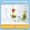 3pcs Interactive Rat Enrichment Toys Non-Toxic Bird Foraging Toy Rodent Slow Feeder  Pet Supplies