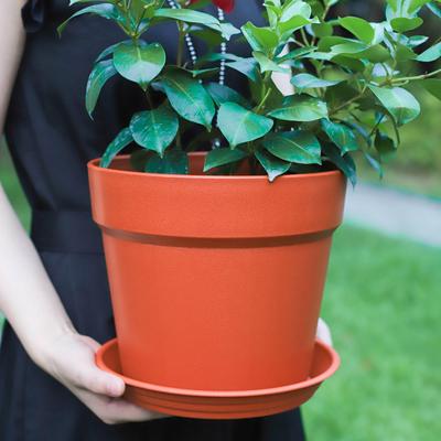 Macetas de plástico con orificio de drenaje y bandeja Macetas pequeñas para plantas Macetas de vivero Macetas para plantas Contenedor