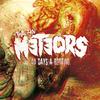 Vinyl Lp - the Meteors - 40 Days a Rotting - 180 Gram - Rock - Mutant Rock