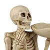 Halloween Skull Candy Bowl Scary Skeleton Key Fruit Snack Storage Tray Resin Punk Skull Decor for Home Tabletop Party Bar