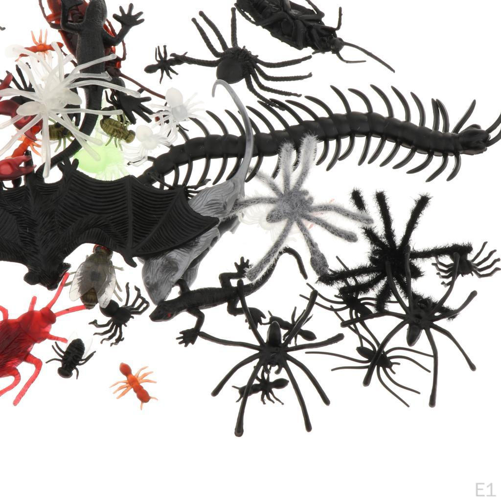 Animal Numbers Learning Help Halloween Birthday