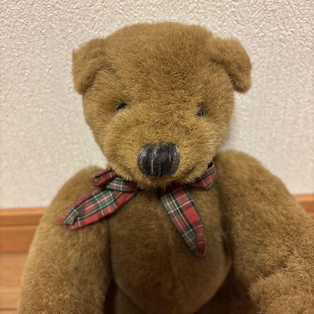 [USED] Checkered Teddy Bear In a Special Box