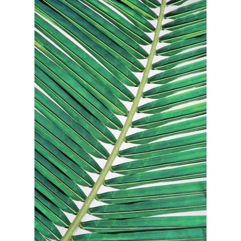 Tropical Plants Poster and Print Toucan Bird Flamingo Parrot Pineapple Canvas Painting Nordic Wall Art Picture Home Decor Cuadro