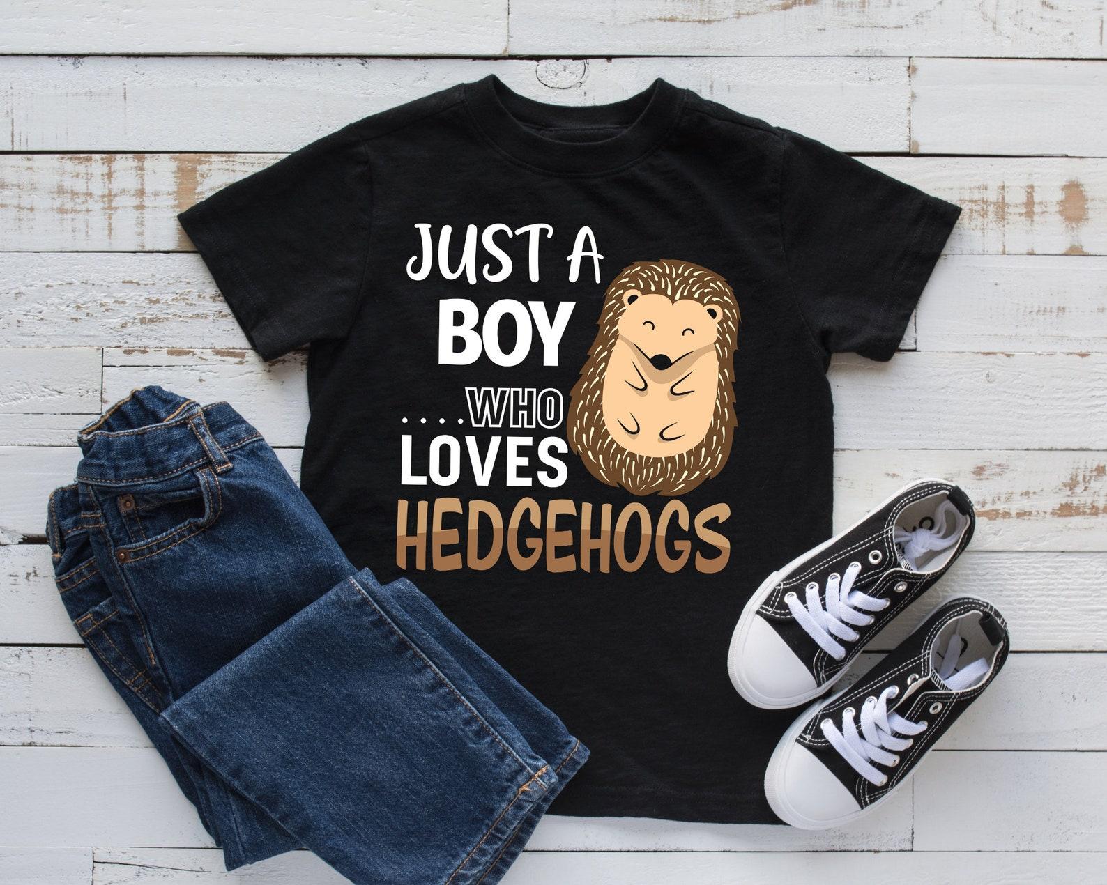 Boy Who Loves Hedgehogs T-Shirt, Boy Hedgehog Tee, Tank Top, T-shirt, T-shirt,T-shirt, Kids Tee Apparel Gift L
