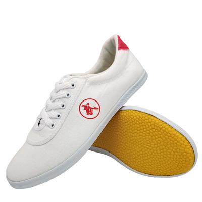 Chaussures d'arts martiaux Chaussures de sport pour hommes et femmes Chaussures d'exercice pour bas de tendon Chaussures de taekwondo pour arts martiaux pour enfants Chaussures de performance